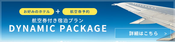ダイナミックパッケージ